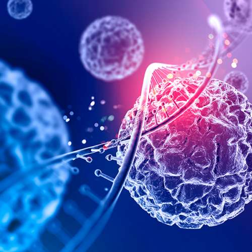 Biología Cuántica Rejuvenecimiento celular 2018
