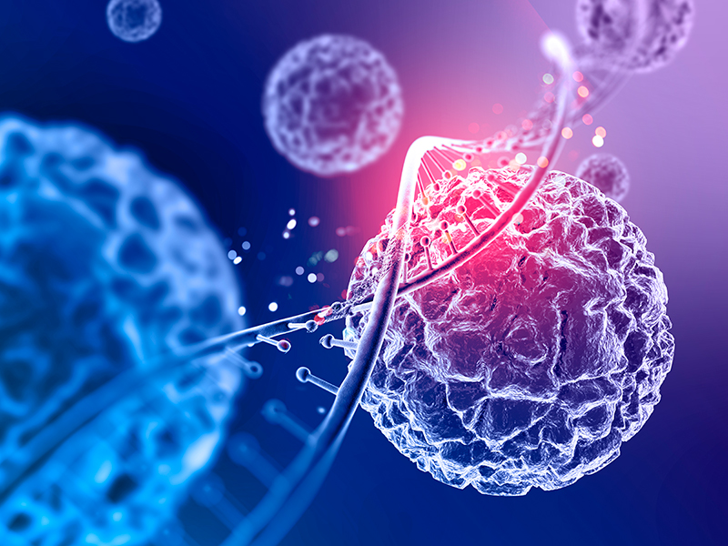 Biología Cuántica Rejuvenecimiento celular 2018