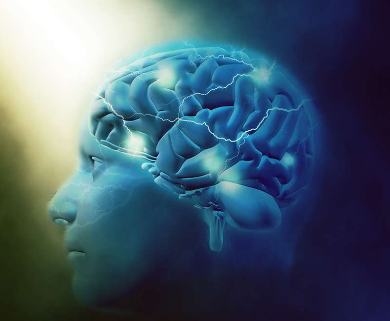 Formación en Bioreprogramación 2015